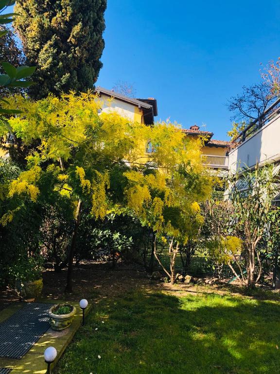 Zahrada ubytování Casa Mimosa