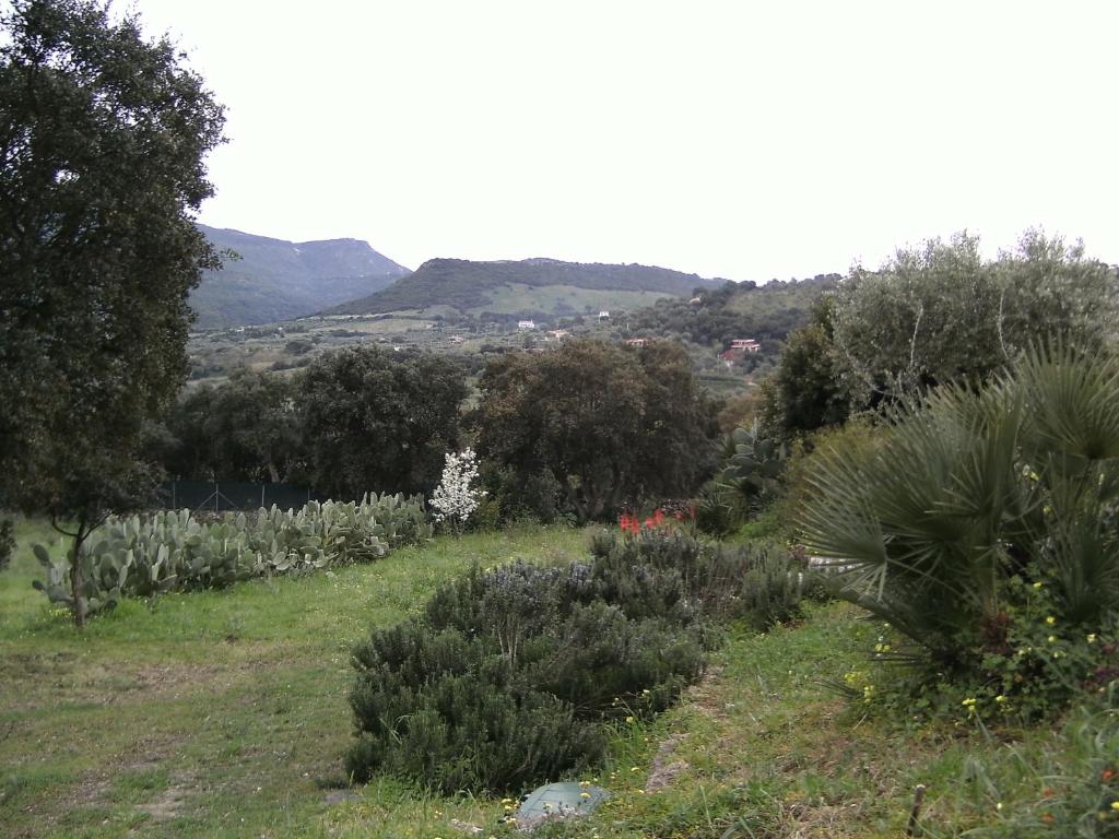 Paisaje cerca de este bed & breakfast