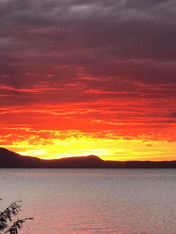 Windsor Motel - Resim 21