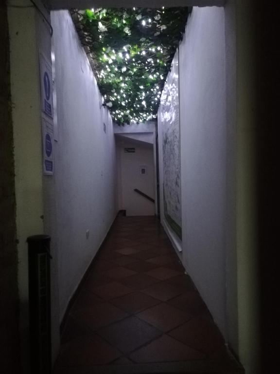 Fotografie z fotogalerie ubytování Cemandy Hostal v destinaci Villa de Leyva