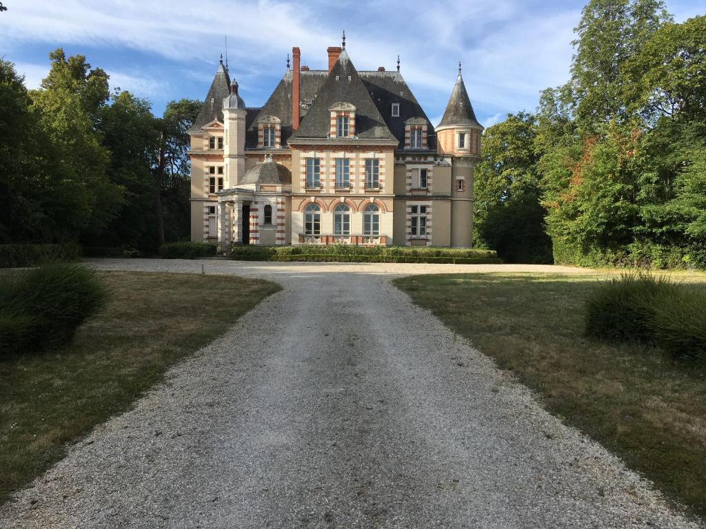 an old castle with a road in front of it at Château de Praslins in Nogent-sur-Vernisson