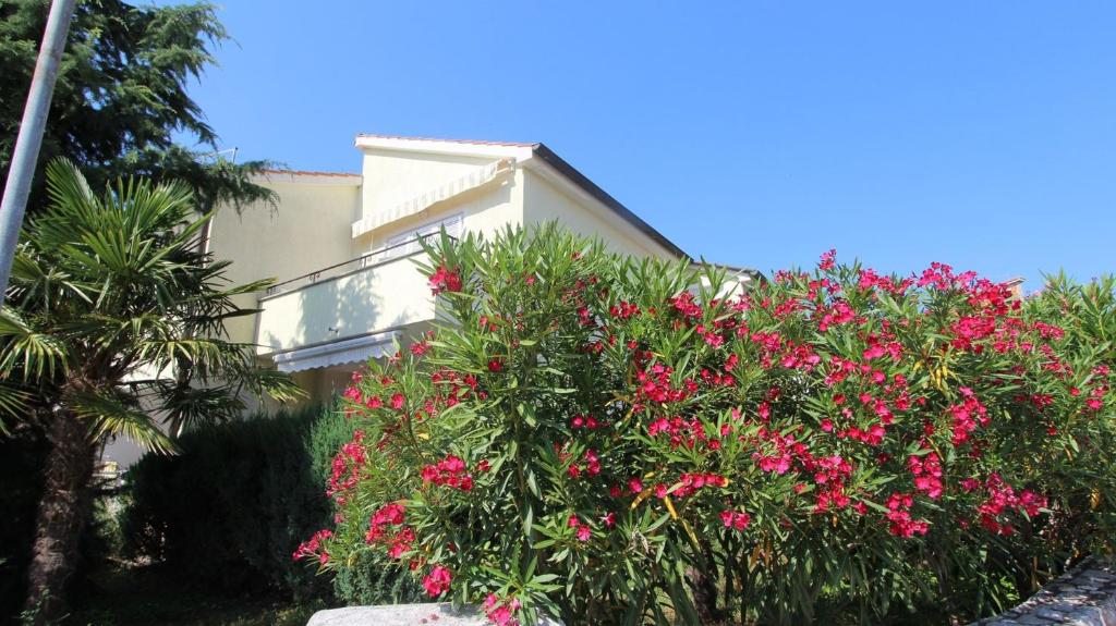 Zahrada ubytování Apartments Grahovac