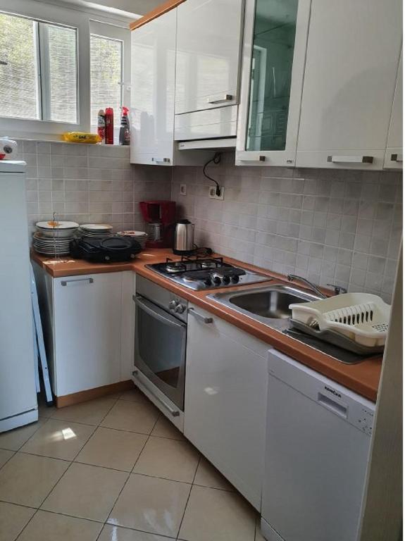 Kuchyň nebo kuchyňský kout v ubytování Apartments Elli