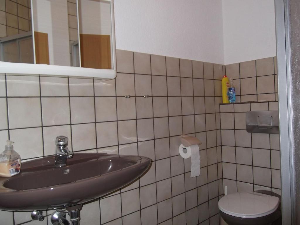 Koupelna v ubytování Ferienhaus und Ferienwohnung Knappstein