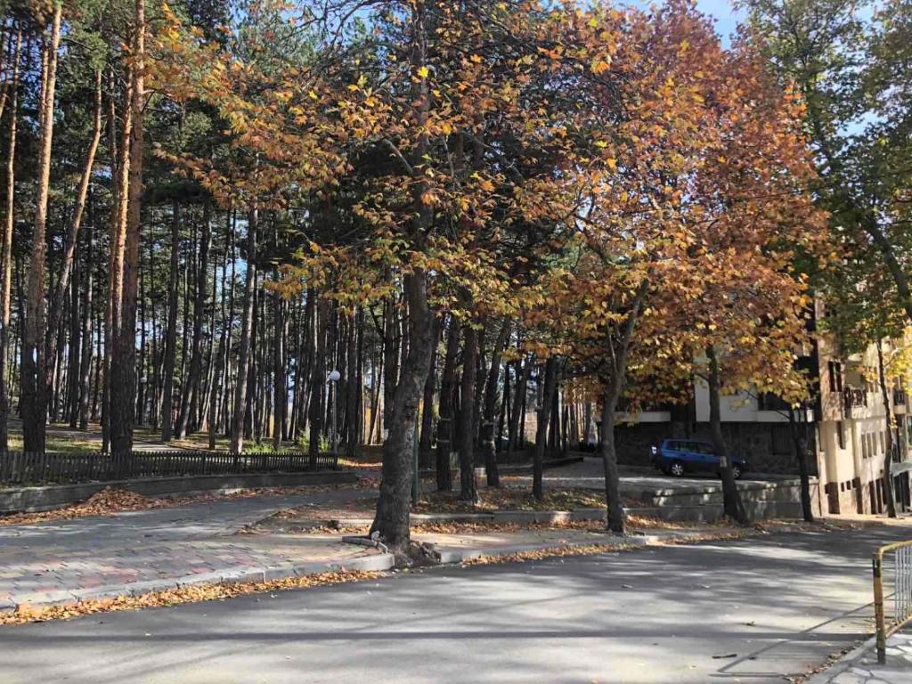 Borov Park 1 - One-Bedroom Apartment