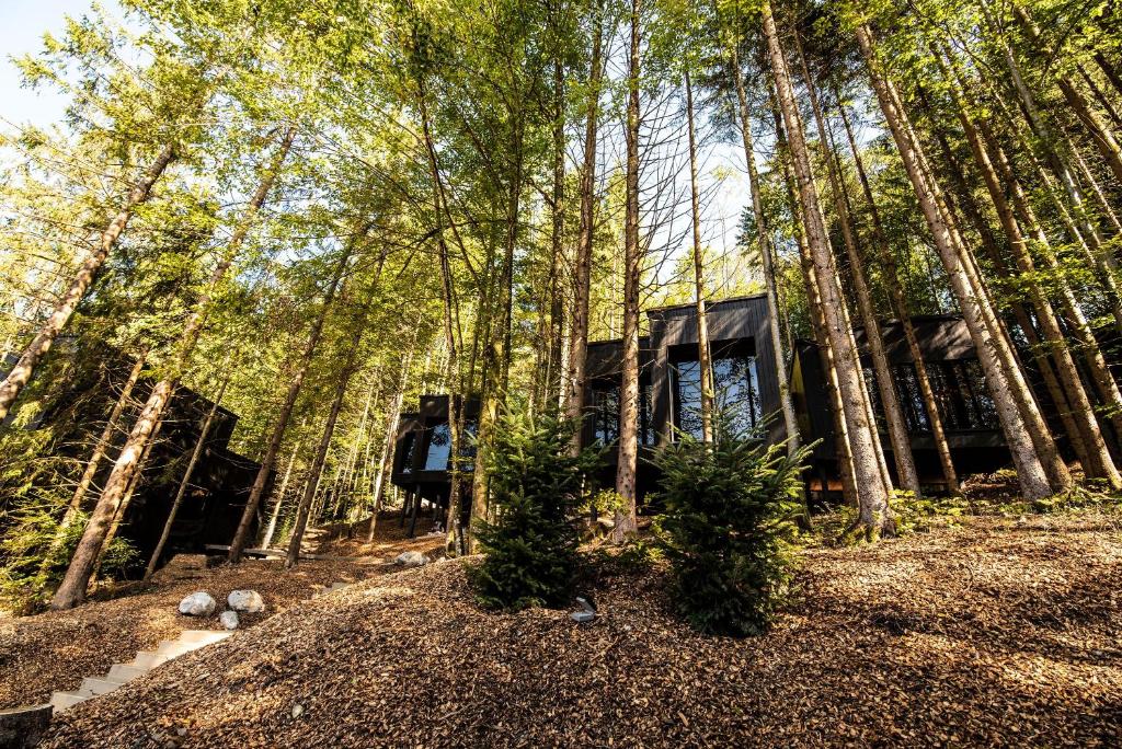 Zahrada ubytování Hotel Fischerwirt Natur WaldSPA