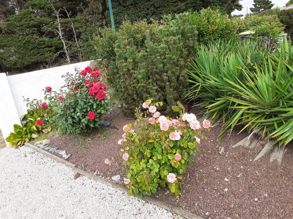 studio lumineux dans la coulée verte à Saint gilles croix de vie