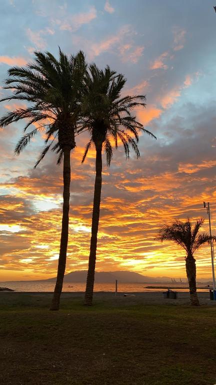 dos palmeras en un campo con una puesta de sol en Casa Carmen Ático Primera linea de playa en Málaga