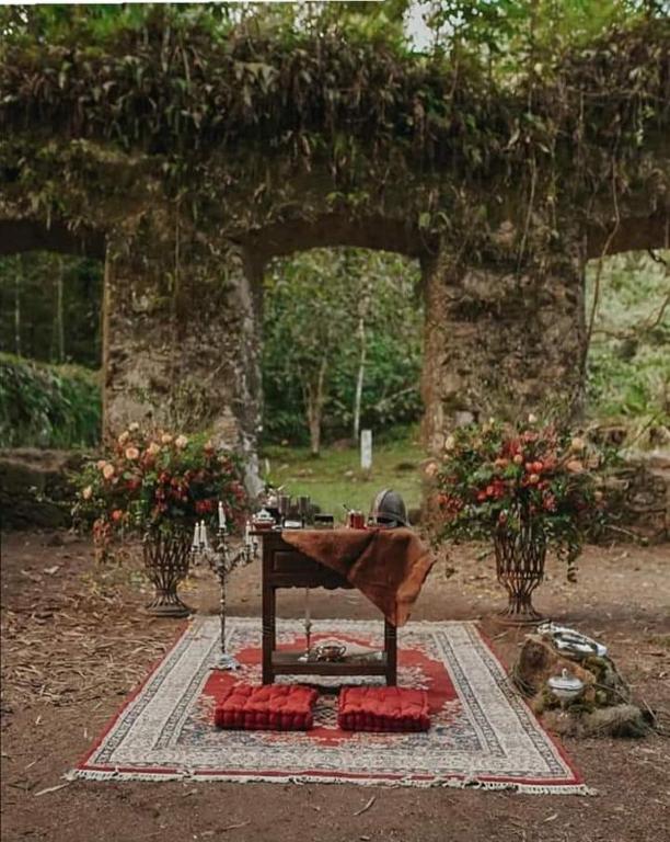  Suítes container Ruínas da Lagoinha Ubatuba