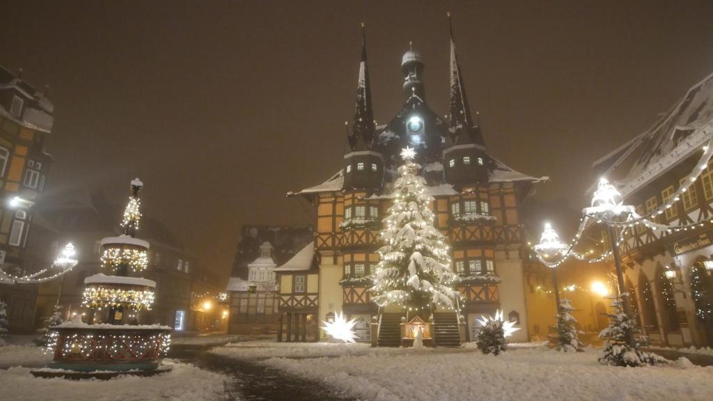 Harz Hostel durante l'inverno