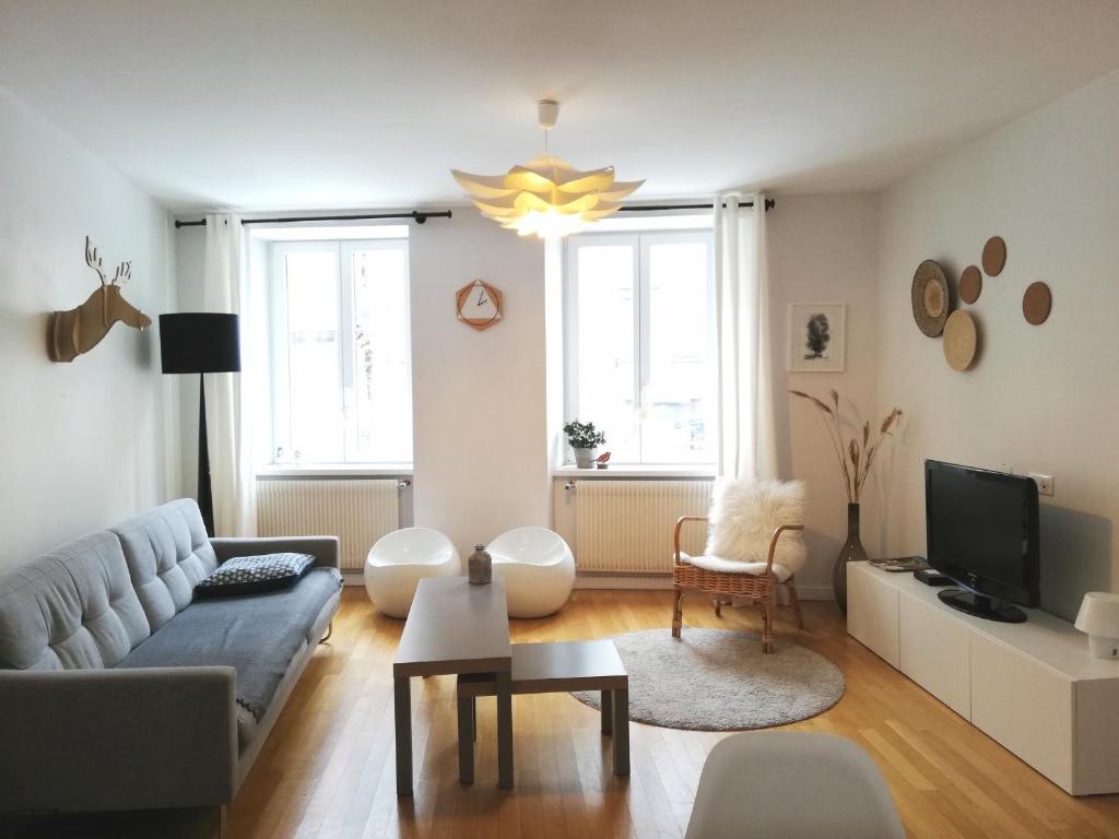 uma sala de estar com um sofá e uma televisão em L'écrin de Masevaux em Masevaux