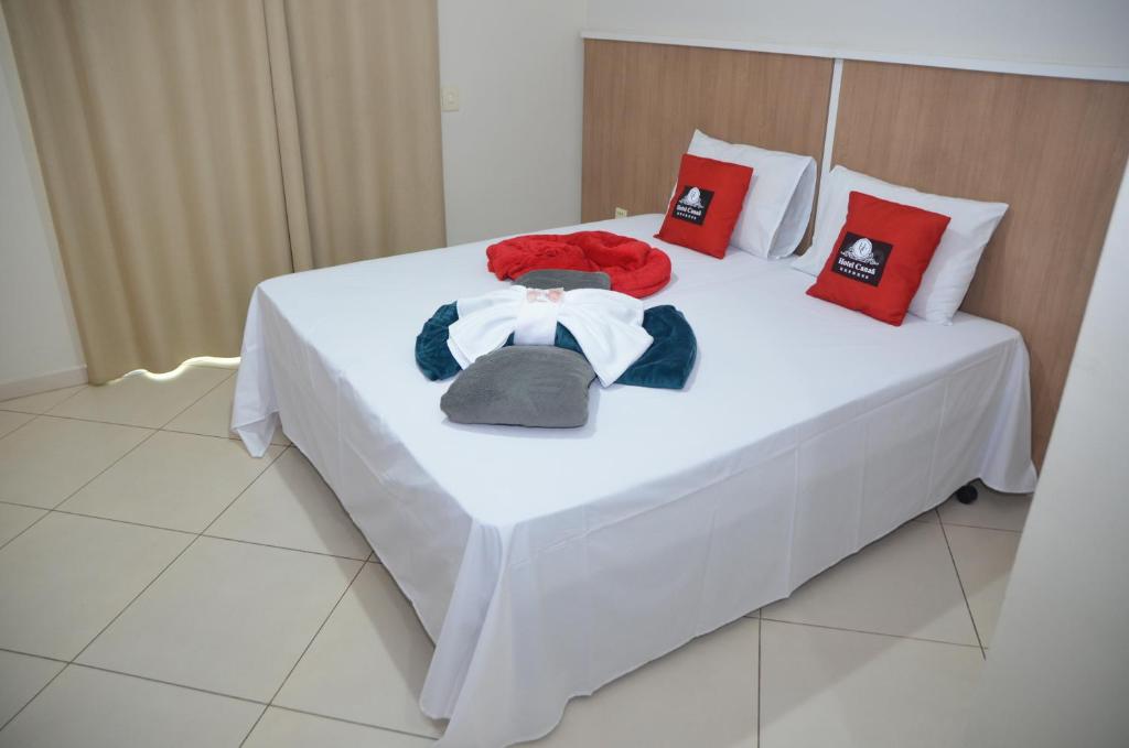  Hotel Canaã Express
