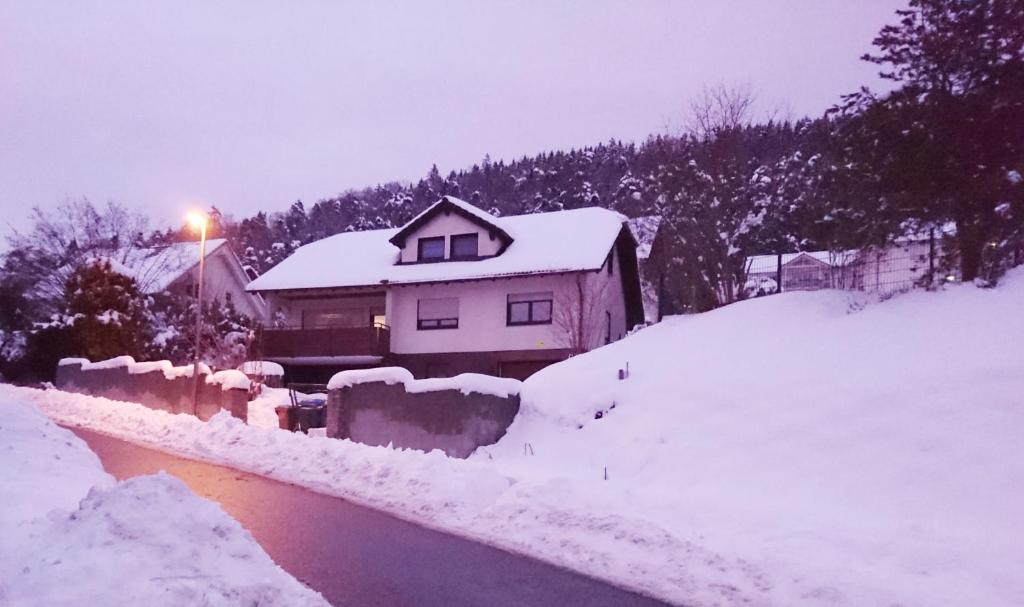 une maison recouverte de neige à côté d'une rivière dans l'établissement An der grünen Donau - Ferienwohnung, wir bieten keine Parkplätze, Verpflegung oder Tücher an, Parken gegenüber auf der Straßenseite möglich, à Immendingen