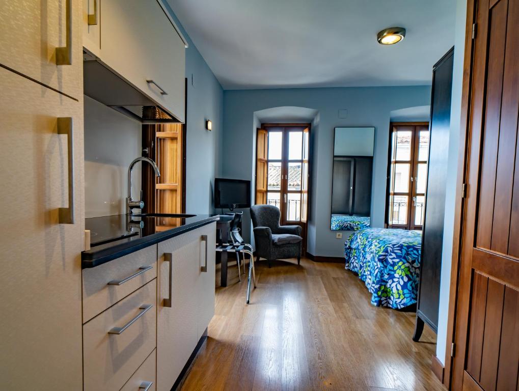 Kuchyň nebo kuchyňský kout v ubytování Hotel Alfonso IX