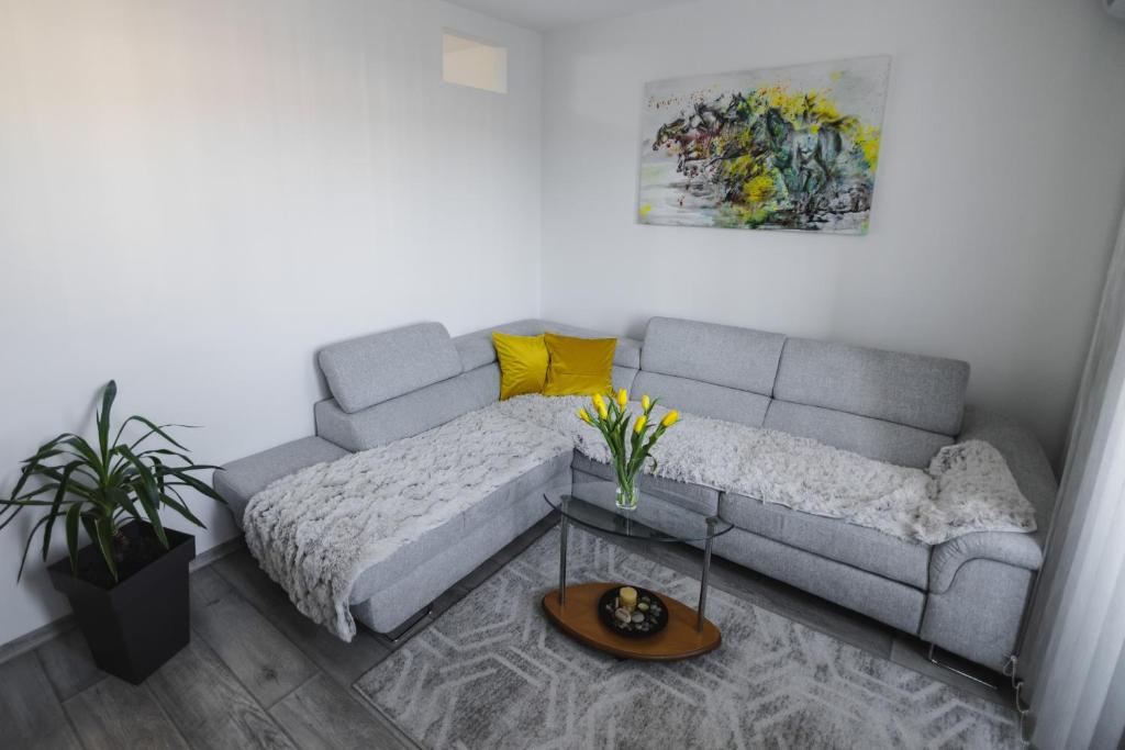 ein Wohnzimmer mit einem Sofa und einem Tisch in der Unterkunft Apartman ISKRA in Aranđelovac
