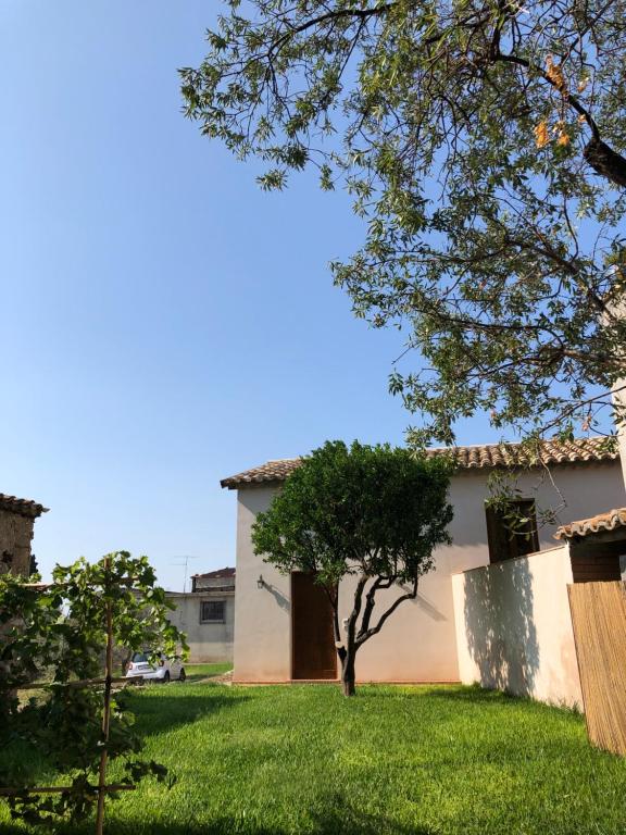 a tree in the yard of a house at La Casa del mandarino di Borgo Carbone in Locri