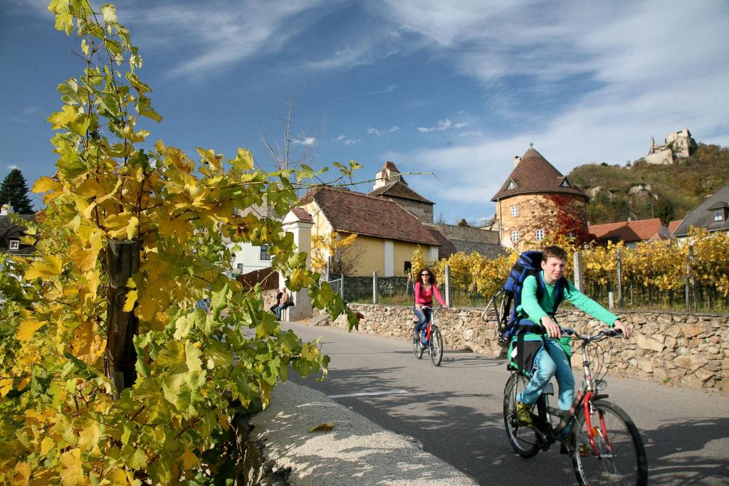 Hosté ubytování Hotel Stadt Melk