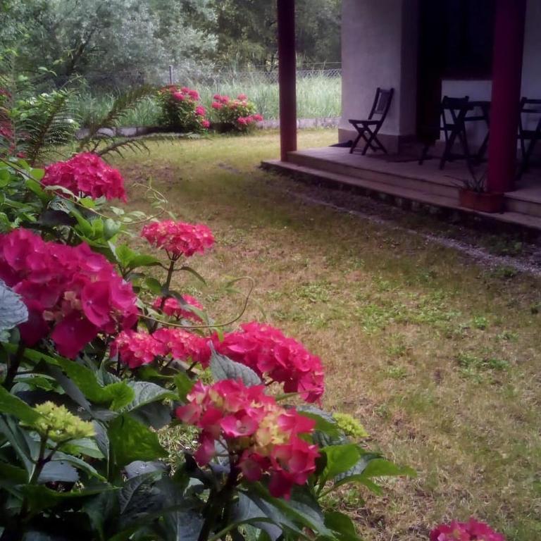 Camping Playa Sauces, Ribadesella – Precios actualizados 2022