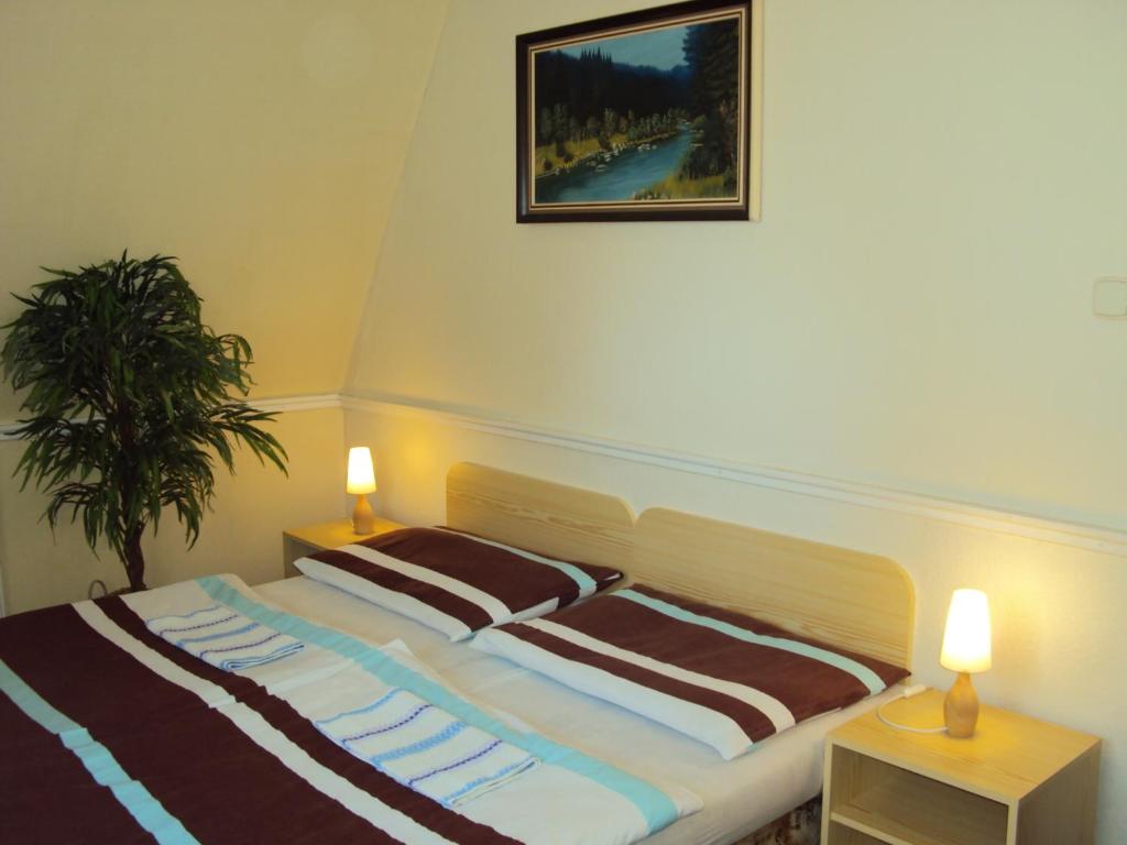 Pension Velický Zámocek - Resim 40