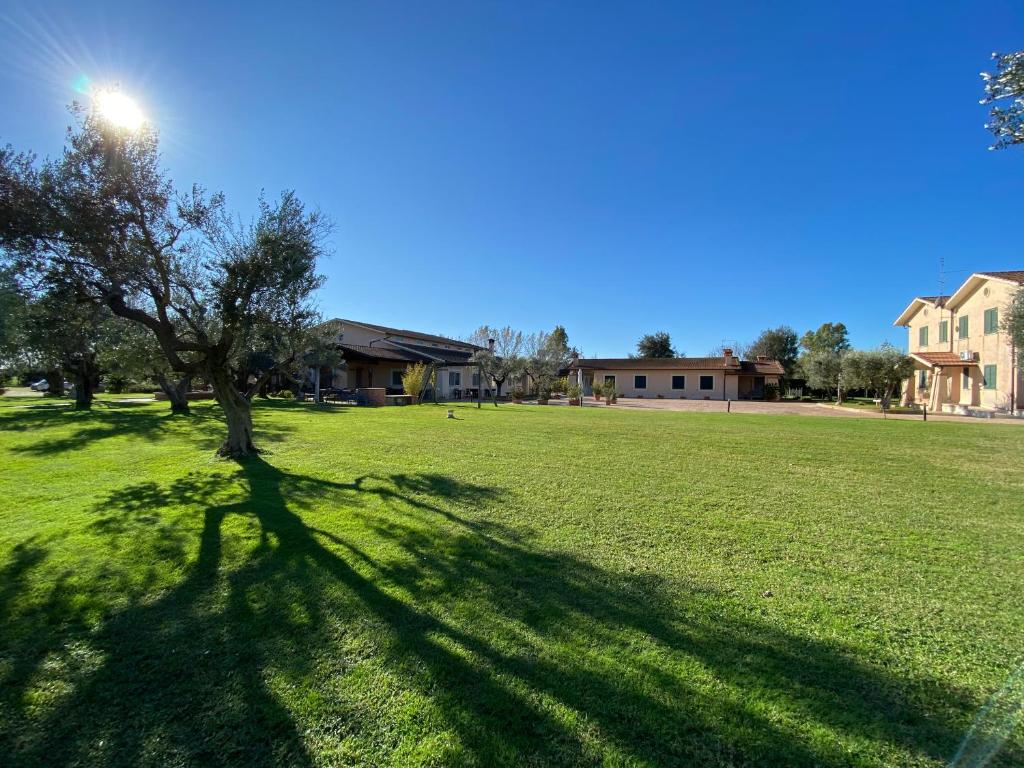 uma sombra de uma árvore num campo verde em Agriturismo l'Ovile em San Michele