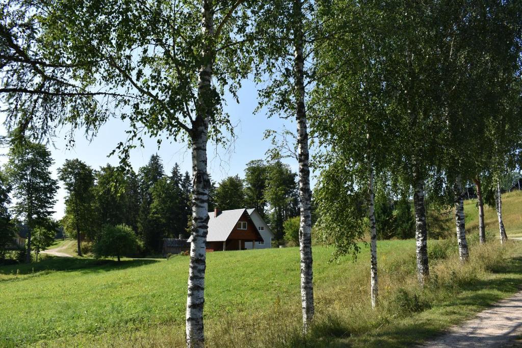 een groep bomen met een huis op de achtergrond bij Jõeniidu Holiday House in Trolla