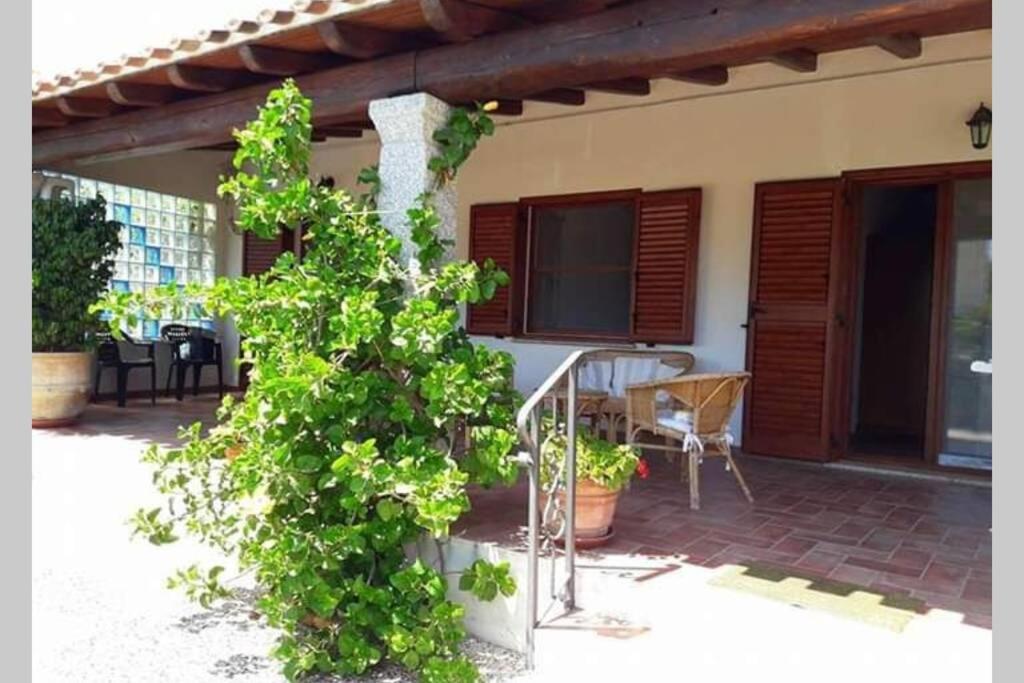Zahrada ubytování Angolo relax a due passi dal mare