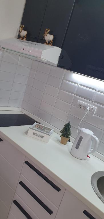 Kuchyň nebo kuchyňský kout v ubytování Apartman Iva