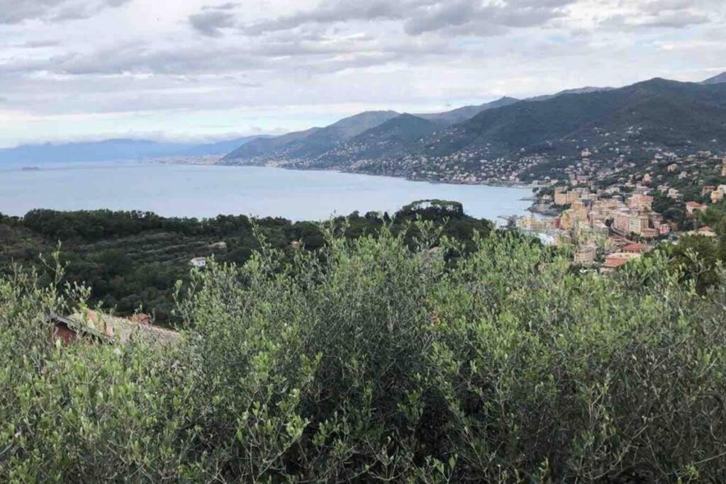 Príroda v okolí apartmánu