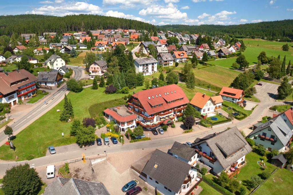 Příroda nedaleko hotelu