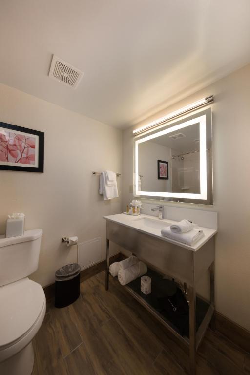 Holiday Inn Brookfield - Milwaukee, an IHG Hotel - Standard King Room With Sofa Bed - Non-Smoking