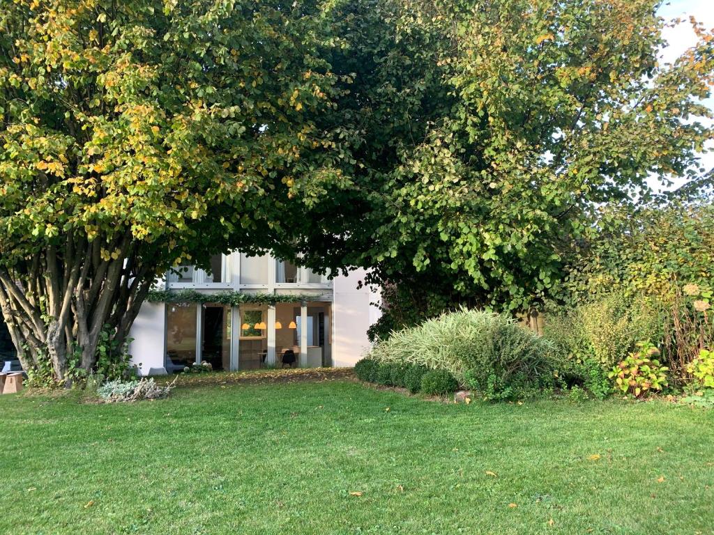 un gran árbol frente a una casa en Wisteria Guest House en Villers-lʼÉvêque