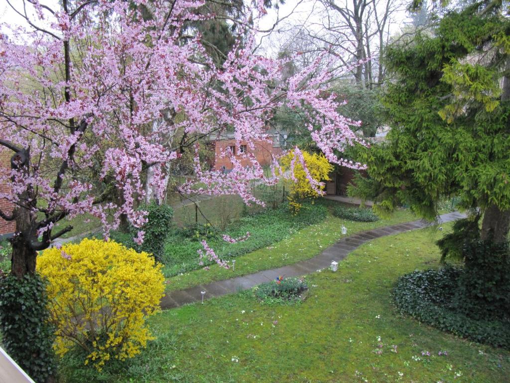 Chez Jean et Daisy - Resim 15