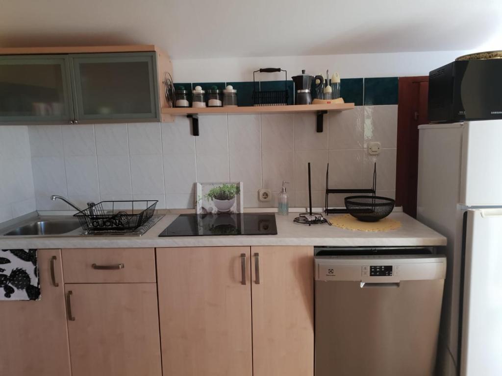 Kuchyň nebo kuchyňský kout v ubytování Villa Mateja