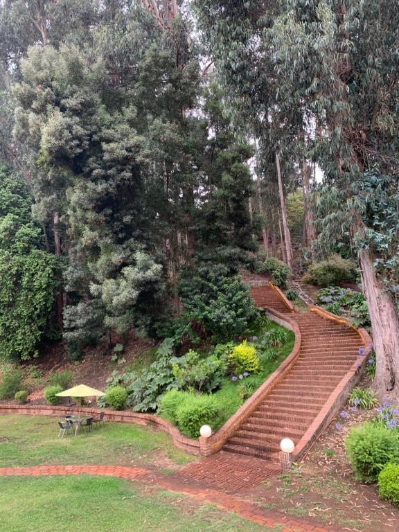 Zahrada ubytování Hotel Bosque de Reñaca