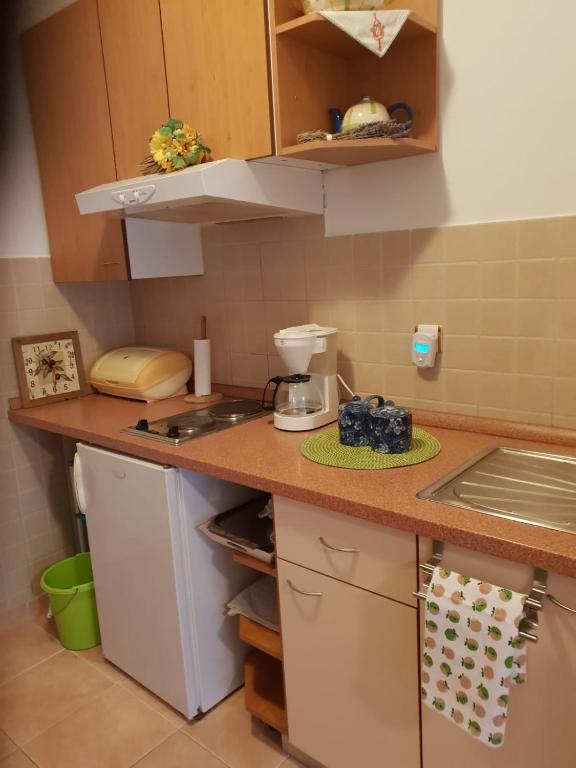 Kuchyň nebo kuchyňský kout v ubytování Villa Mateja
