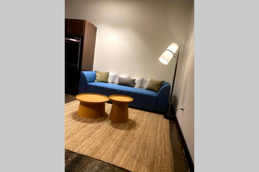 Posezení v ubytování 3E-*New* 5 min to UPMC Shadyside, sleeps 4