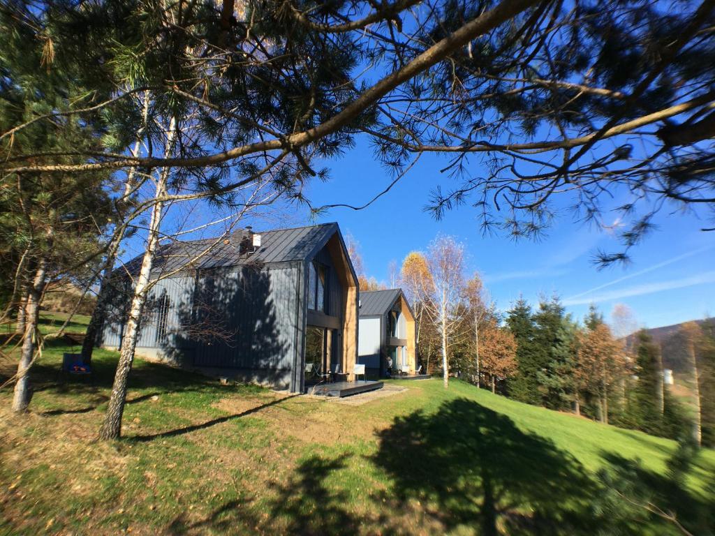 a house on a grassy hill with trees at 3 WYMIARY in Cisna