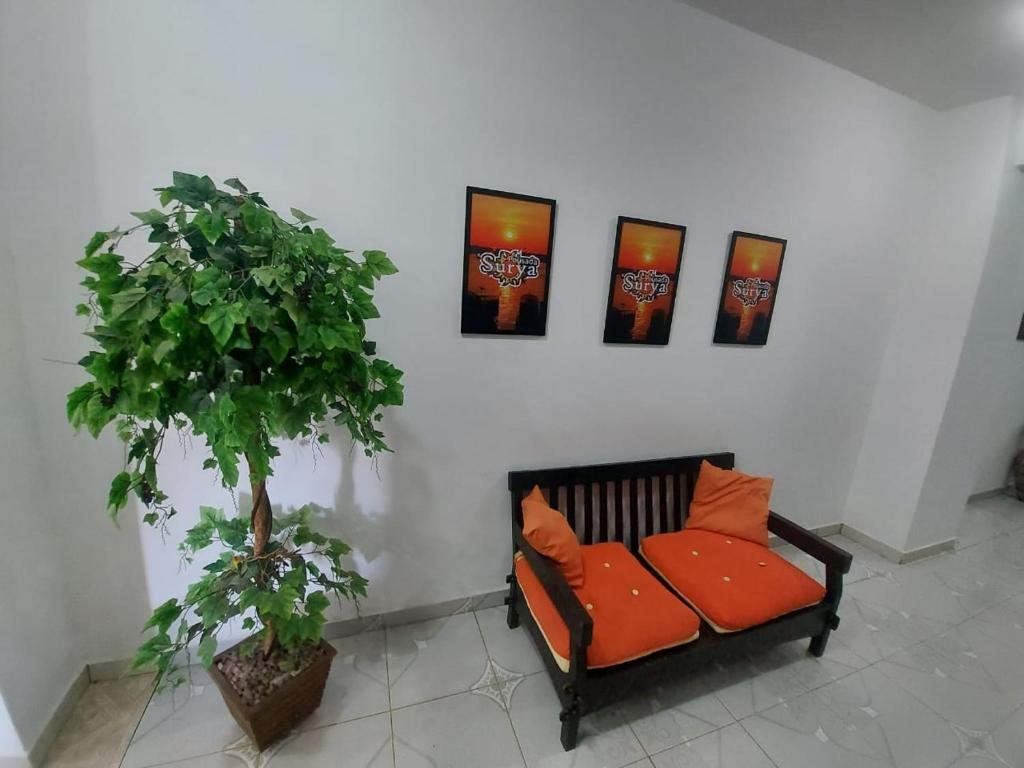  Pousada Surya