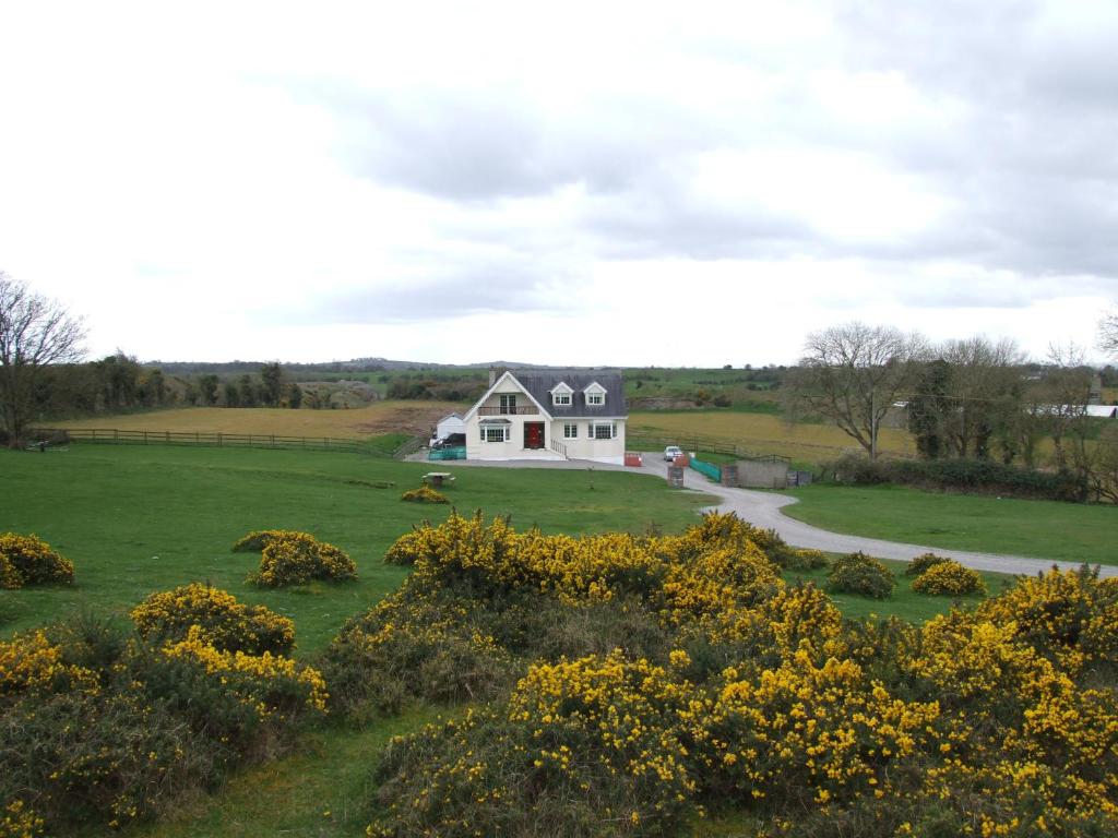 a white house in a field with yellow flowers at The Curragh Country House Accommodation in Newbridge