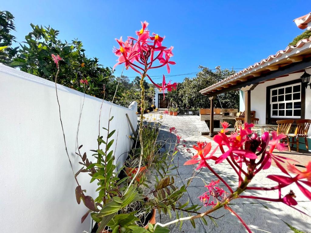 Casa rural con vistas al mar, WiFi y terraza en La Palma