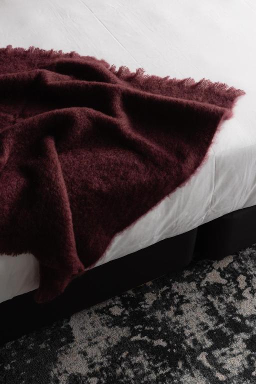 Ebb-Dunedin - Resim 44