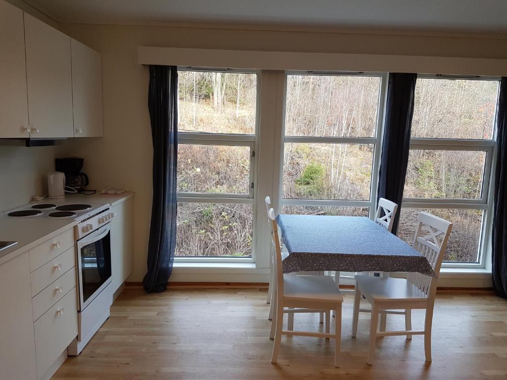 cocina con mesa y sillas y 2 ventanas en Seljord Apartment, en Seljord