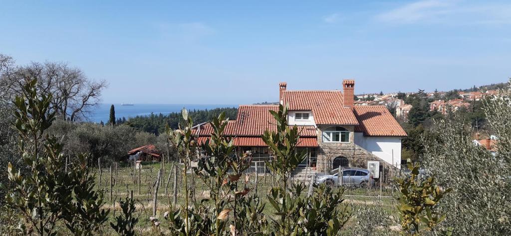 Příroda nedaleko apartmánu
