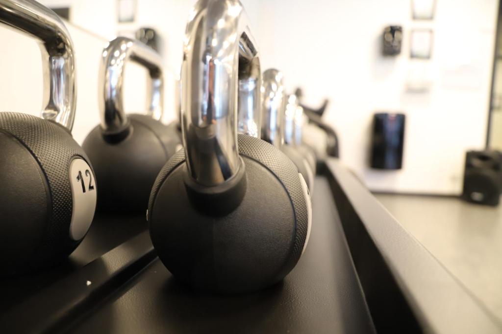 Fitness centrum a/nebo fitness zařízení v ubytování Hotel Britannia