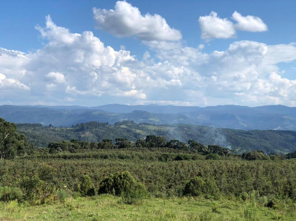  recanto do panelão