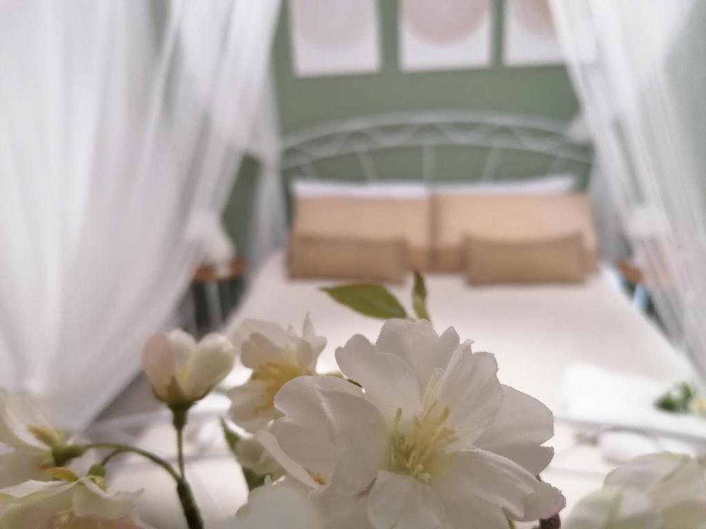 Tesori di Girgenti - 13