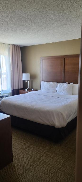 Comfort Inn Lexington photo