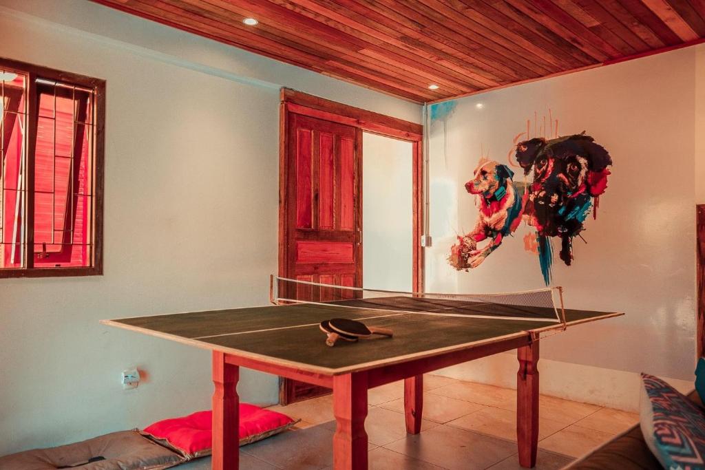  Duque Hostel