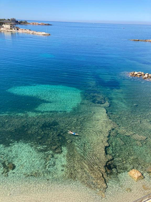 Villa Pieds dans l'eau