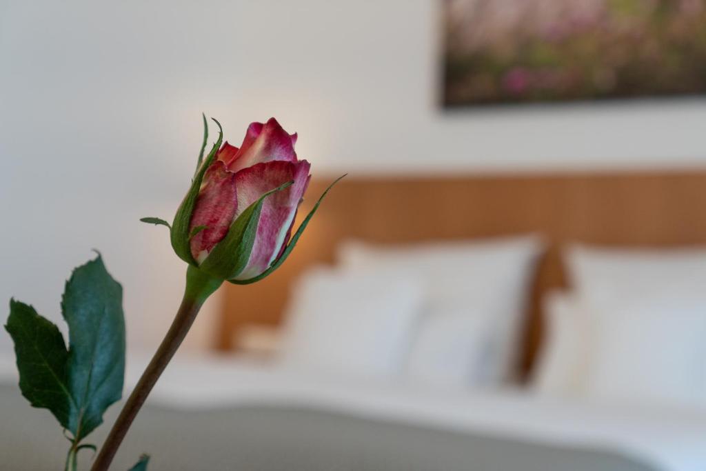 Postel nebo postele na pokoji v ubytování Hotel Elysee